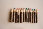 Tree Coloured Pencil set - Image 4