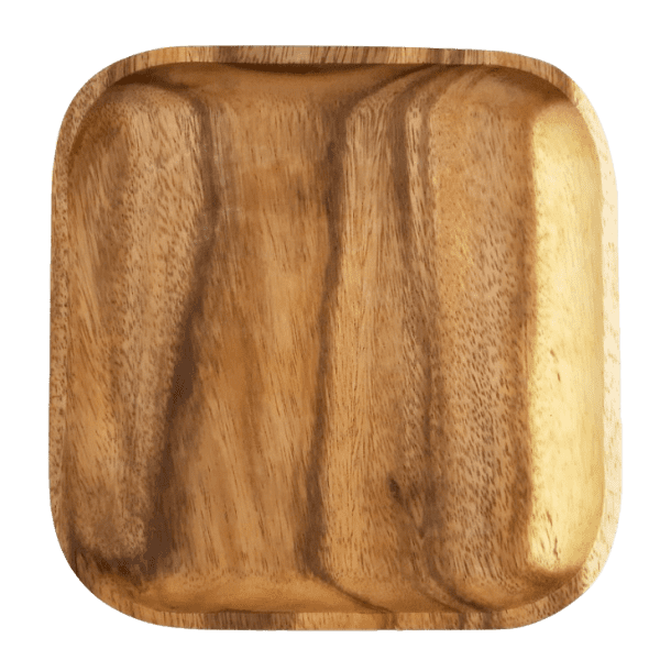 Square Dinner Plate Set of 2