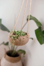 Coco classic hanging pot - Image 2