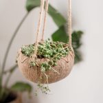 Coco classic hanging pot