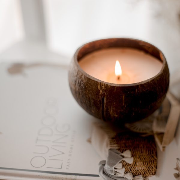 Coconut Candle – Cotton Wick