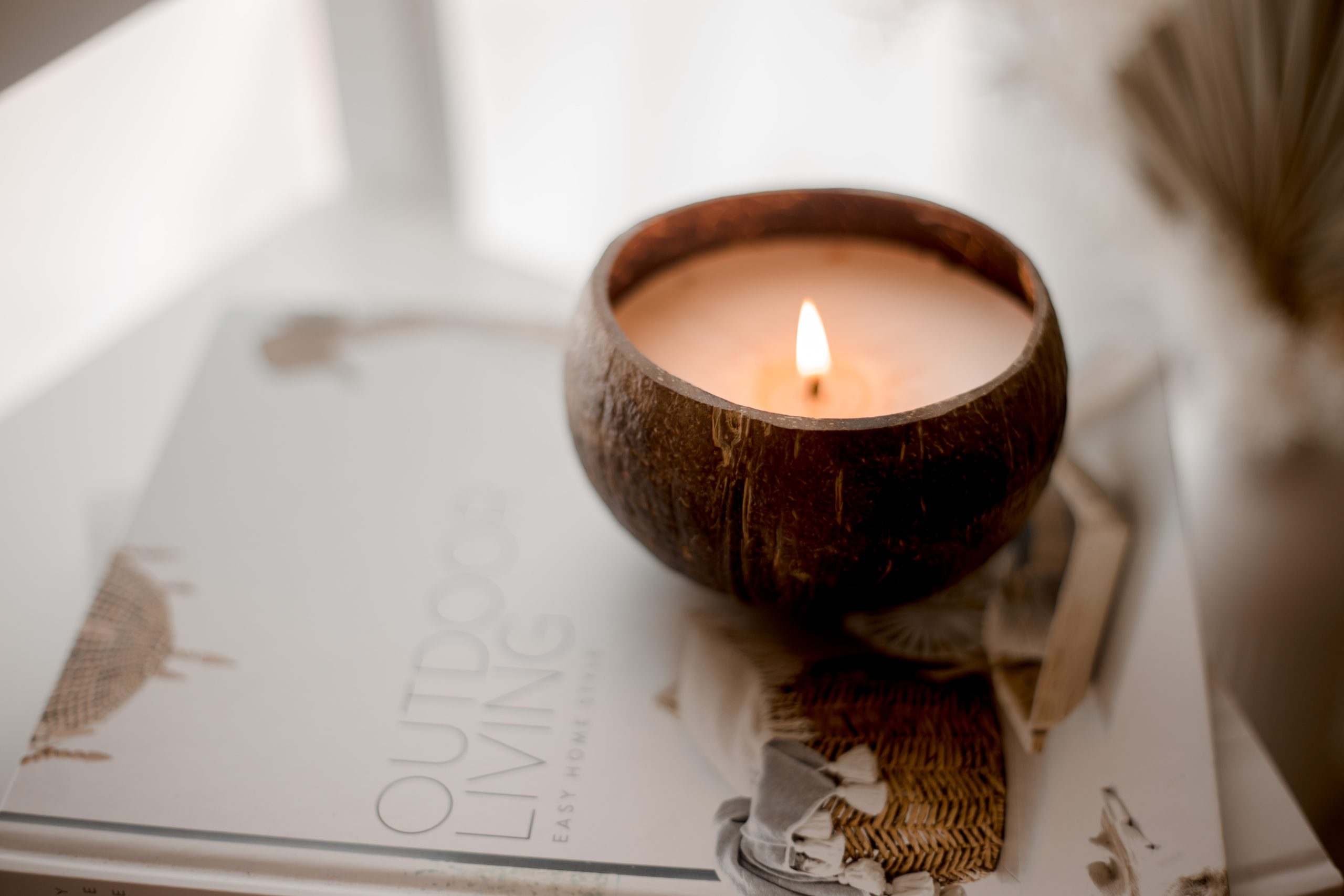 IMG_6005-2-1 Coconut Candle – Cotton Wick - Image 1