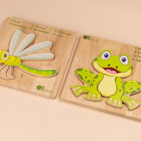 Montessori Amphibian Anatomy Puzzle