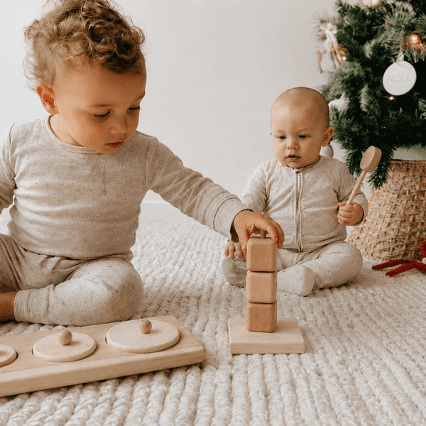 Circle Sorting & Block Stacking Kit