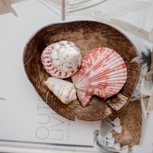 Coconut Soap Tray
