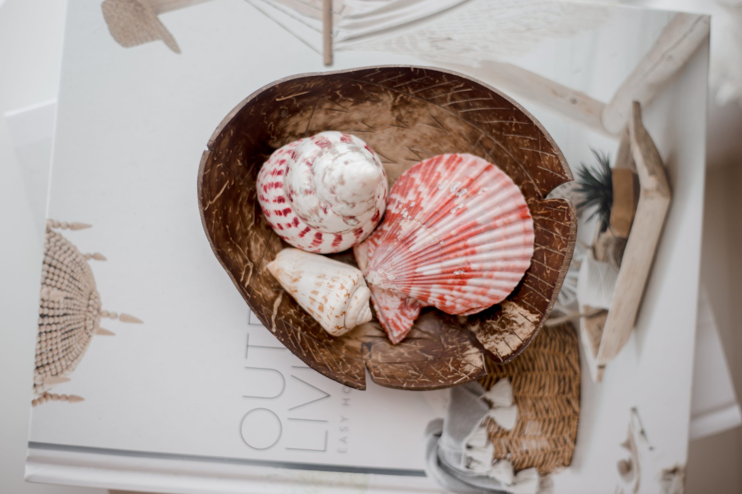703 TAG @our_life_behind_the_lens1 Coconut Soap Tray - Image 1