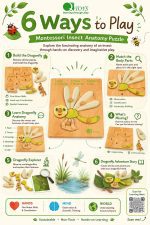 Montessori Insect Anatomy Puzzle - Image 2